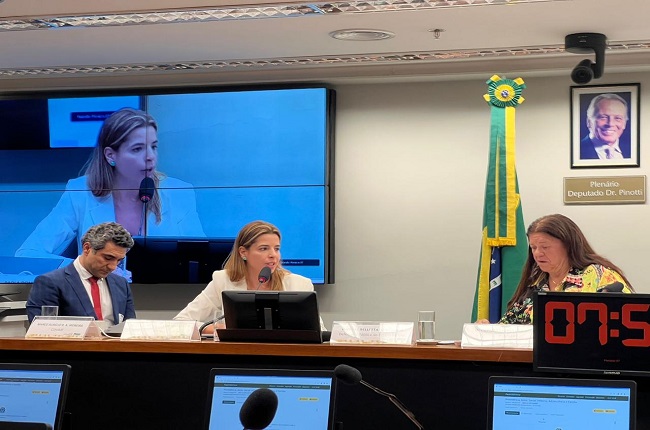 Brasilia - audiencia ECA 2.jpeg