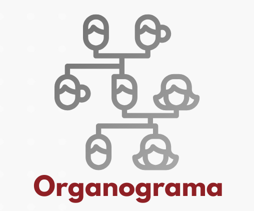 organograma