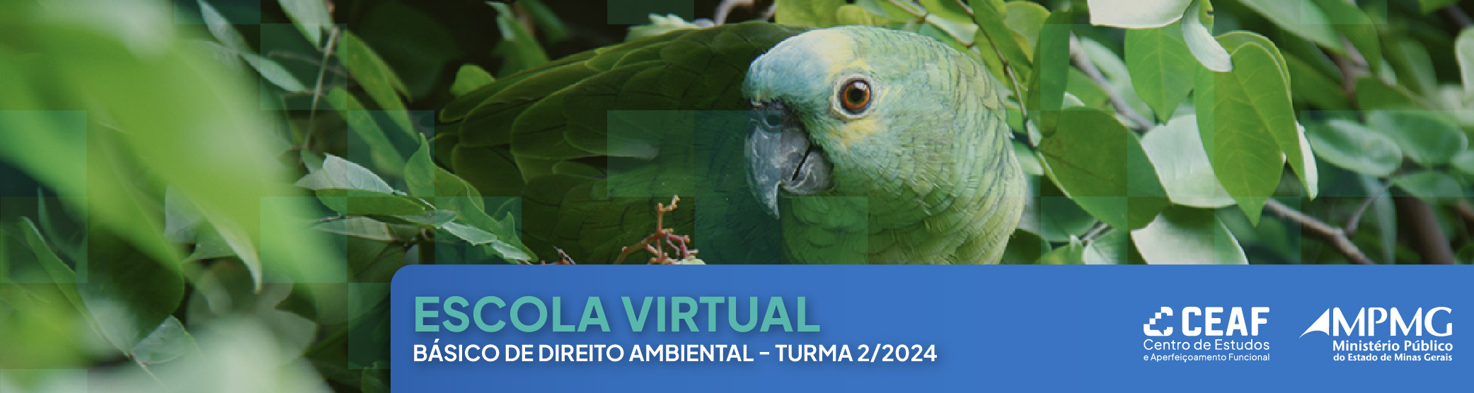 Basico Direito Ambiental_Portal.jpg